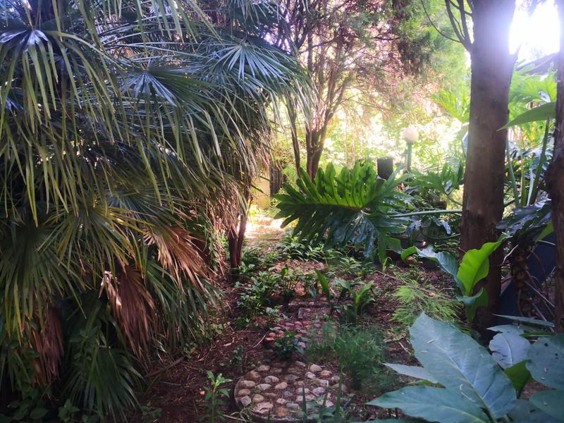 5 Bedroom Property for Sale in Wilkeville North West